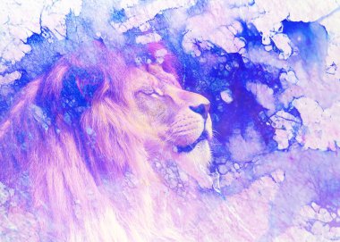 Aslan surat ve grafik efekt. Bilgisayar Kolajı