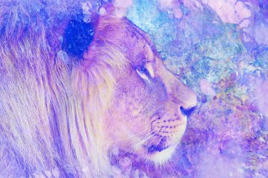Aslan surat ve grafik efekt. Bilgisayar kolajı. Mermer etkisi