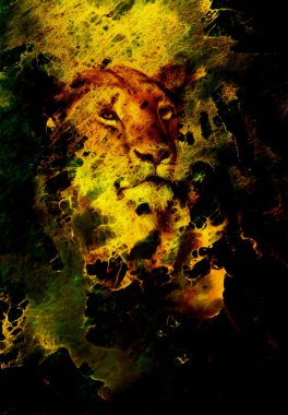 Aslan kıçlı, soyut arkaplan rengi. ateş etkisi