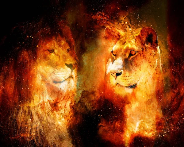 Lion Lioness Cosmic Space Photos Graphic Effect — Stock Photo, Image