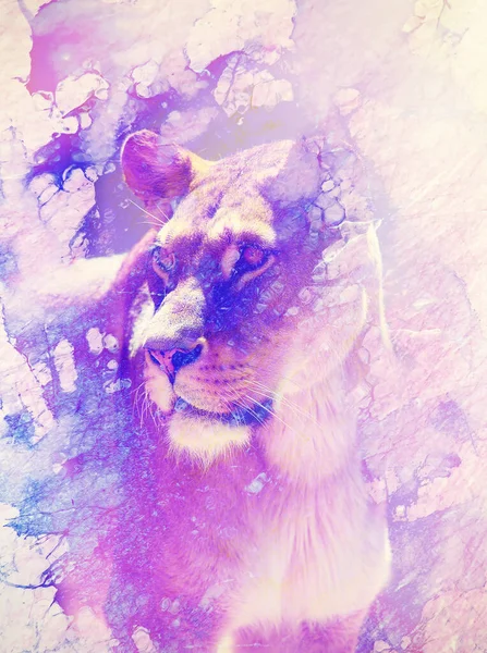 Dişi aslan ve grafik efekt. Bilgisayar kolajı. Mermer etkisi