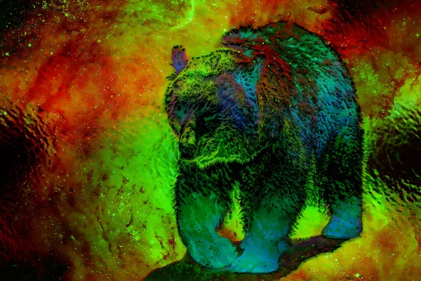 Puissant Ours Dans Espace Photos Effet Graphique Collage Informatique Effet — Photo