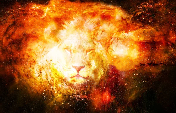 宇宙空間のライオン ライオン写真とグラフィック効果 — ストック写真