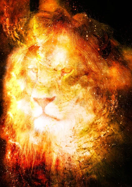 Λιοντάρι Στον Κοσμικό Χώρο Φωτογραφίες Λιονταριού Και Εφέ Γραφικών — Φωτογραφία Αρχείου