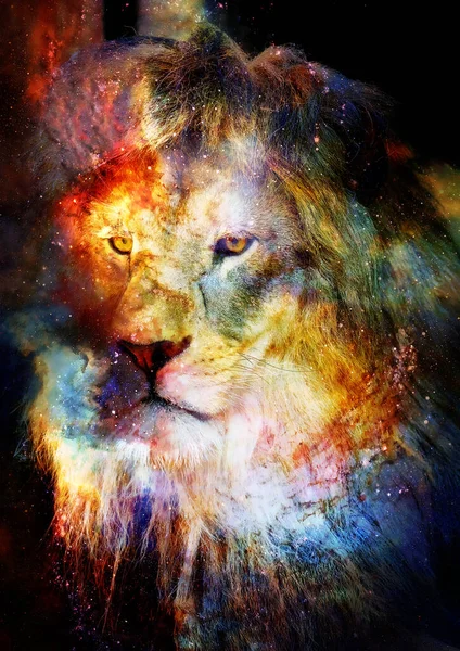 Lion Cosmic Space Lion Photos Graphic Effect — Stock Photo, Image