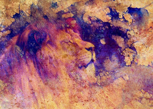 Lion Face Graphic Effect Computer Collage — Stock Photo, Image