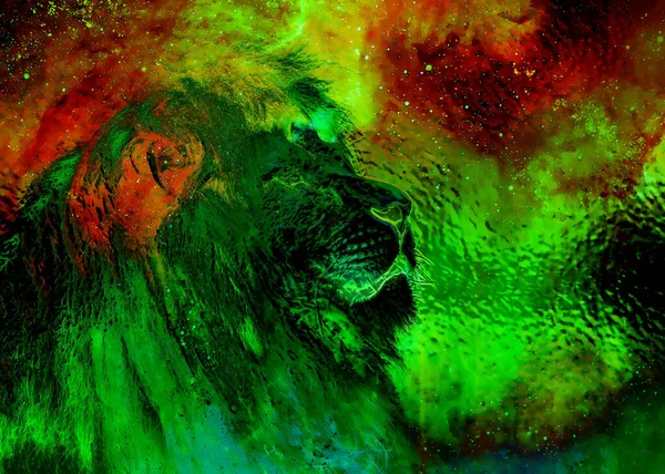 Lion Dans Espace Cosmique Lion Photos Effet Graphique Verre — Photo