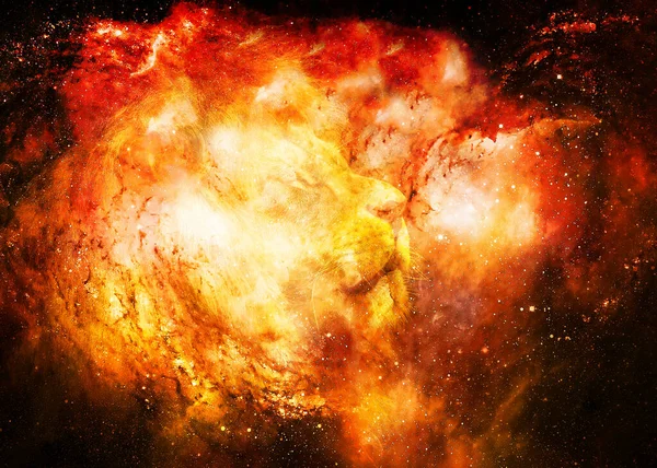 Löwe Kosmischen Raum Löwenfotos Und Grafischer Effekt — Stockfoto
