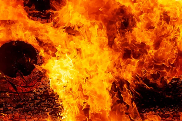 Fascinating Graphic Detail Burning Fire Consuming Wooden Logs — Stock Photo, Image