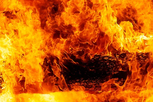 Fascinerend Grafisch Detail Van Brandend Vuur Verslindende Houten Stammen — Stockfoto