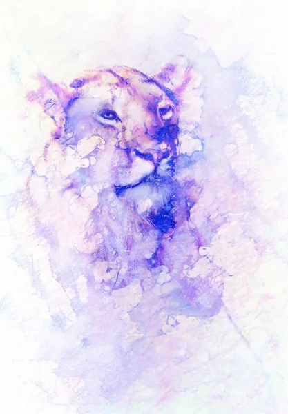 Lioneass Sur Fond Abstrait Couleur Effet Marbre — Photo