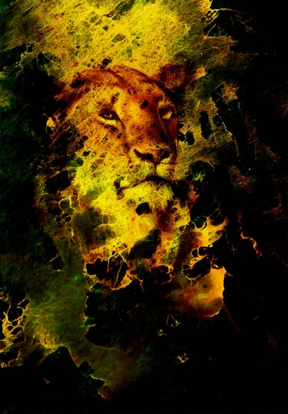 狮子座的颜色抽象背景 火力效果 — 图库照片