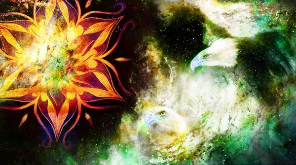 Aigle Mandala Dans Espace Cosmique Profil Portratit Collage Informatique — Photo