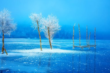 Eski iskele inşaatı ve güzel donmuş ağaçlar.