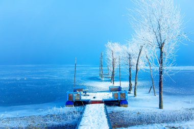 Eski iskele inşaatı ve güzel donmuş ağaçlar.