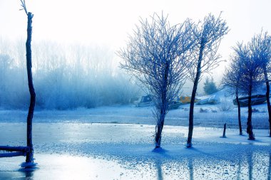 Eski iskele inşaatı ve güzel donmuş ağaçlar.