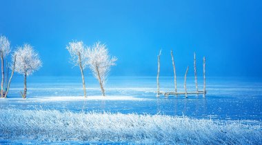 Eski iskele inşaatı ve güzel donmuş ağaçlar.