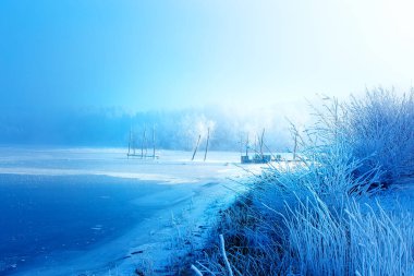 Eski iskele inşaatı ve güzel donmuş ağaçlar.