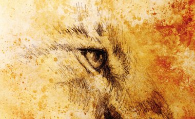 Aslan gözü. Antika kağıda hayvan resmi çiziyor. Renk efekti