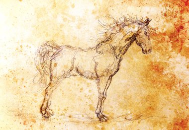 Eski kağıda at çizmek, orijinal el çizmek. Renk efekti