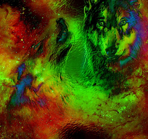 Zauberhafter Weltraumwolf Malerei Und Grafische Collage Glaseffekt — Stockfoto