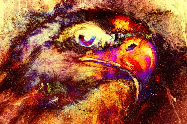 鹰在抽象的色彩背景 侧写Portratit火力效果 — 图库照片