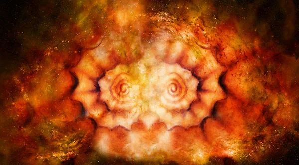 在宇宙背景的帆布上抽象画海贝壳 — 图库照片