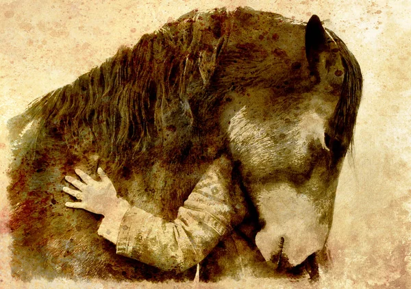 Cavalo Amoroso Uma Rapariga Uma Rapariga Abraçar Cavalo Colagem Computadores — Fotografia de Stock