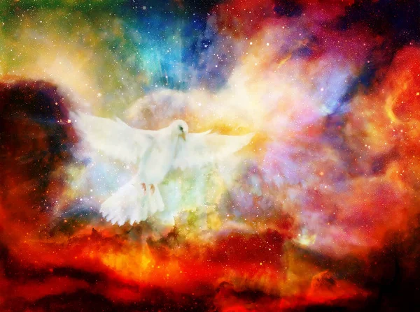 Dove Cosmic Space Painting Graphic Design Graphic Effect — Stock Photo, Image