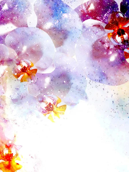 Kosmischer Raum Mit Blume Farbigem Galaxienhintergrund Computercollage — Stockfoto