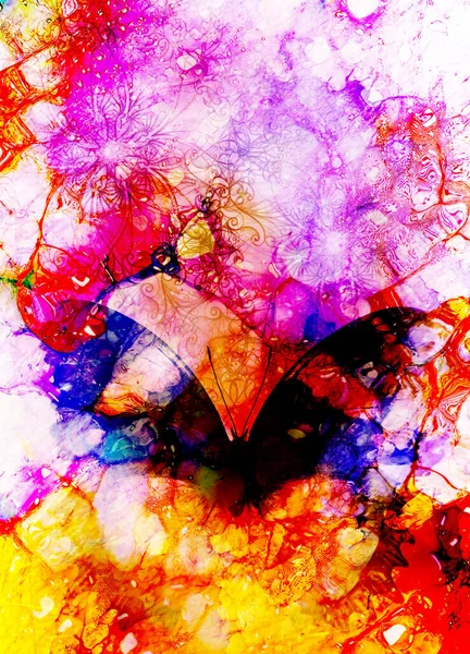 Цвет Бабочки Орнаментом Абстрактным Фоном — стоковое фото