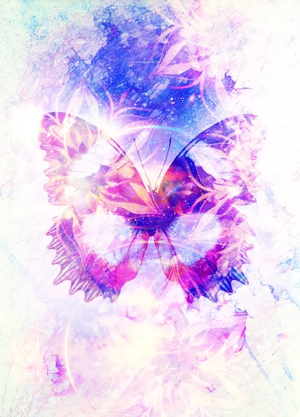 Filigraner Blumenschmuck Und Schmetterling Kosmischer Background Computercollage — Stockfoto