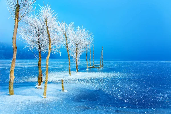 Oude Pier Constructie Mooie Bevroren Bomen — Stockfoto