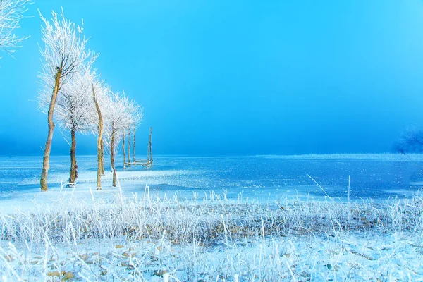 Staré Molo Konstrukce Krásné Zamrzlé Stromy — Stock fotografie