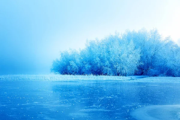 Prachtig Besneeuwd Landschap Besneeuwde Bomen Ijsmeer — Stockfoto