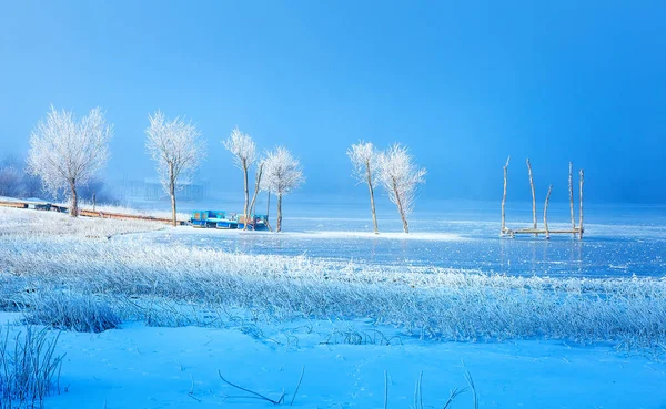 Старая Конструкция Пирса Красивые Замерзшие Деревья — стоковое фото