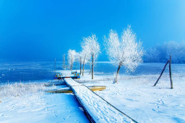 Oude Pier Constructie Mooie Bevroren Bomen — Stockfoto