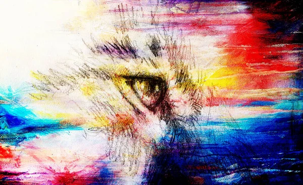 Oeil Lion Dessin Animal Sur Papier Vintage Effet Couleur — Photo