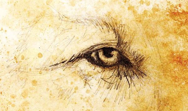 Lví Oko Zvířecí Kresba Vinobraní Papíru Efekt Barev — Stock fotografie