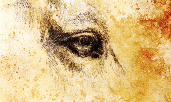 Eski kağıt üzerinde at gözü ve renk lekeleri