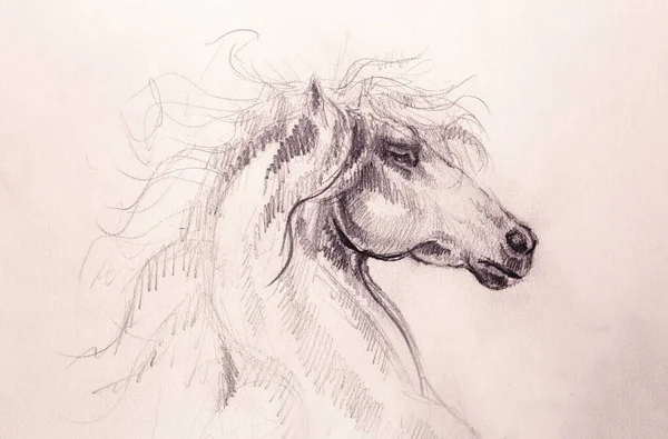 Dessin Cheval Sur Vieux Papier Dessin Original Main — Photo