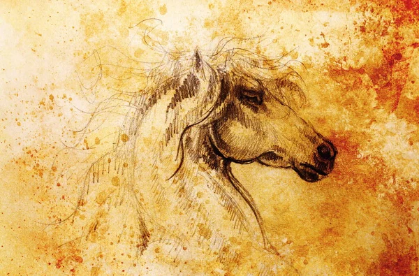 Cavallo Disegno Vecchia Carta Disegno Mano Originale Effetto Colore — Foto Stock