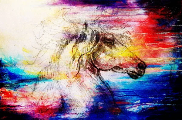 Dessin Cheval Sur Vieux Papier Dessin Original Main Effet Couleur — Photo