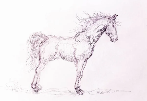 Caballo Dibujo Sobre Papel Viejo Dibujo Original Mano —  Fotos de Stock