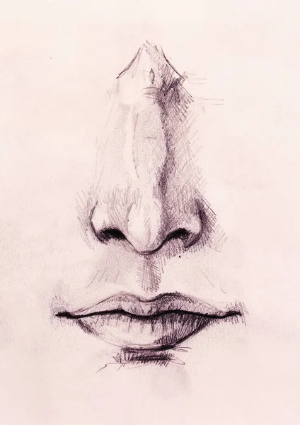Künstlerische Skizze Von Gesichtsteilen Nase Und Mund Auf Weißem Papierhintergrund — Stockfoto