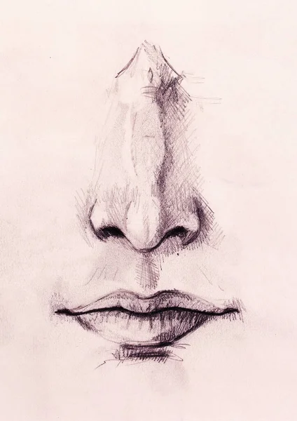 Croquis Artistique Des Parties Visage Nez Bouche Sur Fond Papier — Photo