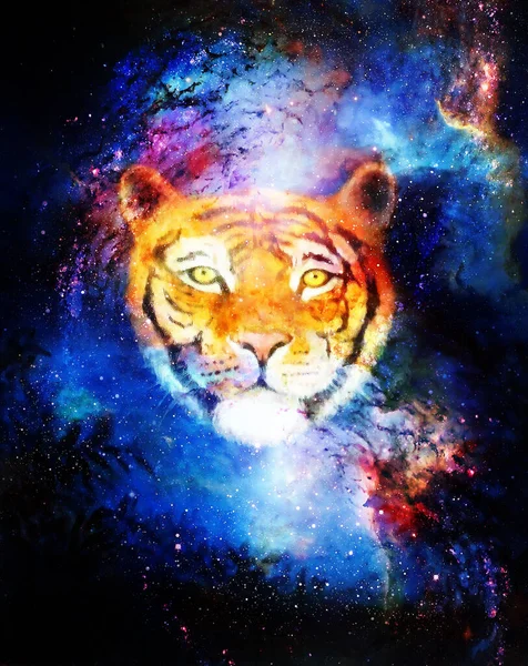 Head Young Tiger Abstract Space Background Graphic Structure Effect — Stock Photo, Image