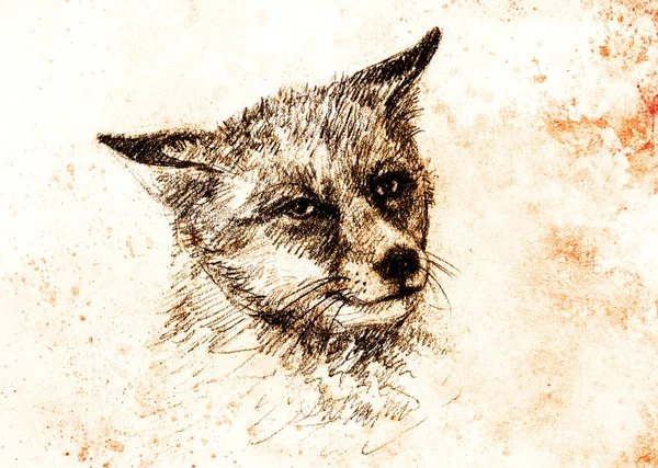 Fox Portrait Pencil Drawing Paper Vintage Effect — Stock Photo, Image