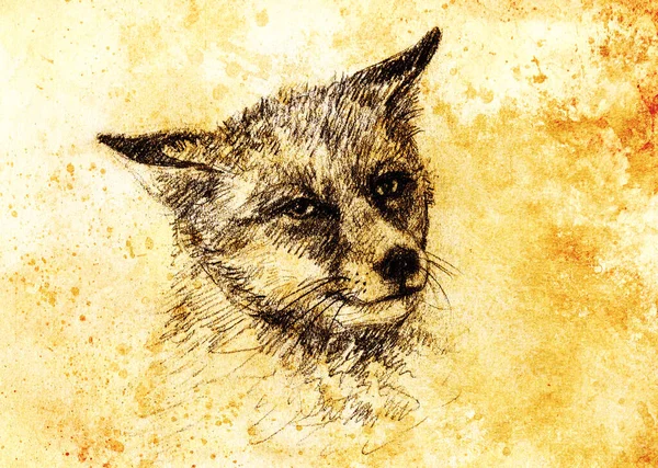 Fox Portrait Pencil Drawing Paper Vintage Effect — Stock Photo, Image