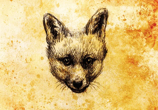 Fox Portrait Pencil Drawing Paper Vintage Effect — Stock Photo, Image